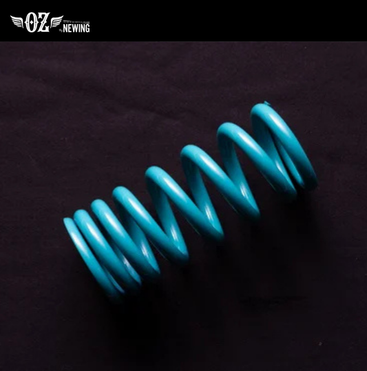 【OZbyNEWINGオリジナル】 スポーツスターS専用 ハイパースプリング