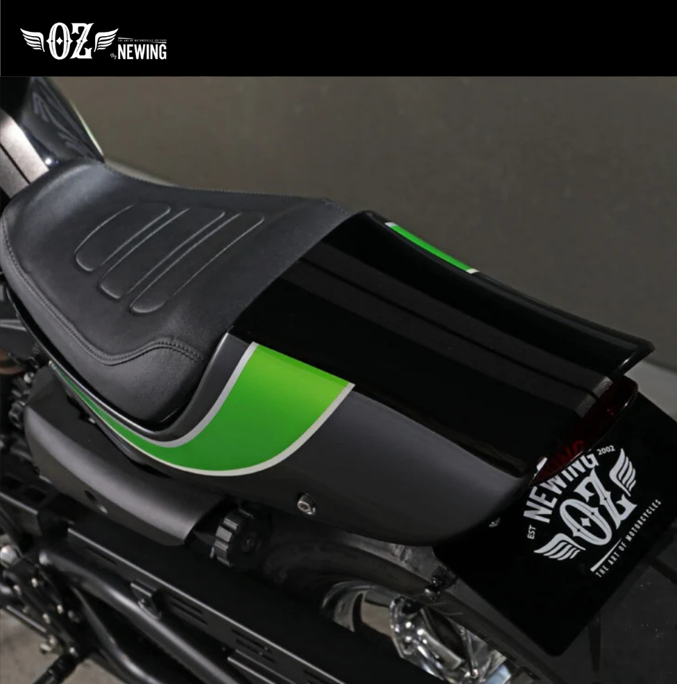 【OZbyNEWINGオリジナル】ハーレー スポーツスターS専用 リアーフェンダーカウル