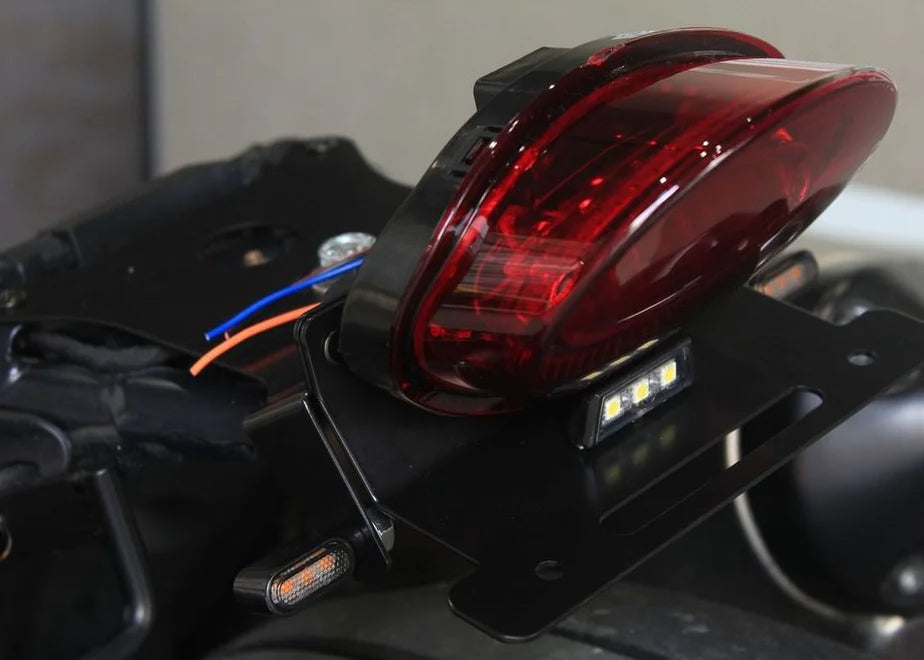 【OZbyNEWINGオリジナル】 リアフェンダーカウル専用テール・ナンバーセット